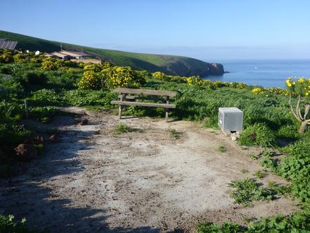 Picnic table and food storage box surrounded by low bushes with yellow flowers and grass overlooking ocean.    SANTA BARBARA ISLAND AREA - 003