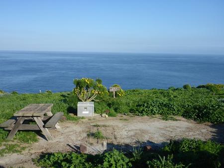 Picnic table and food storage box surrounded by low bushes and grass overlooking blue ocean.   SANTA BARBARA ISLAND AREA - 003

