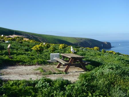 Picnic table and food storage box surrounded by low bushes and grass overlooking oceanSANTA BARBARA ISLAND AREA - 004
