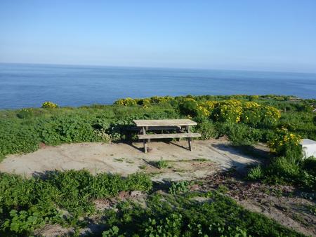Picnic table and food storage box surrounded by low bushes and grass overlooking ocean.  SANTA BARBARA ISLAND AREA - 006

