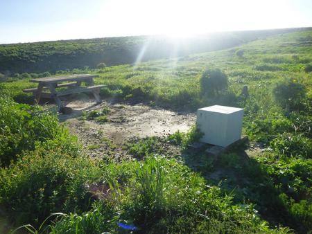 Picnic table and food storage box surrounded by low bushes and grass overlooking ocean.  SANTA BARBARA ISLAND AREA - 007
