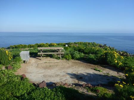 Picnic table and food storage box surrounded by low bushes and grass overlooking oceanSANTA BARBARA ISLAND AREA - 008
