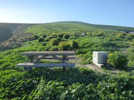 Picnic table and food storage box surrounded by low bushes and grass overlooking ocean.  SANTA BARBARA ISLAND AREA - 009
