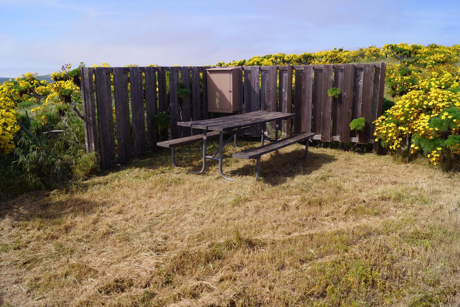 Wood picnic table and five-foot windbreak surrounded by yellow flowering plant.SAN MIGUEL ISLAND AREA - 003
