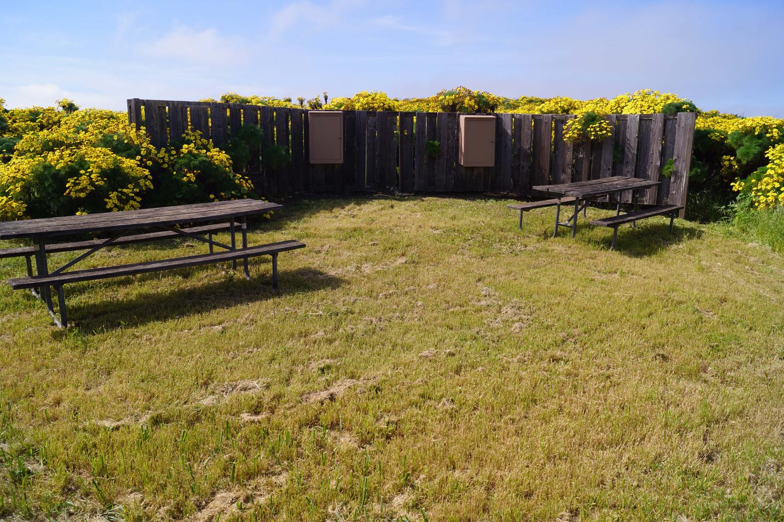Wood picnic table and five-foot windbreak surrounded by yellow flowering plant.SAN MIGUEL ISLAND AREA - 005
