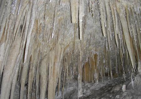Photo of stalactites in Lower Cave.Stalactites in Lower Cave.