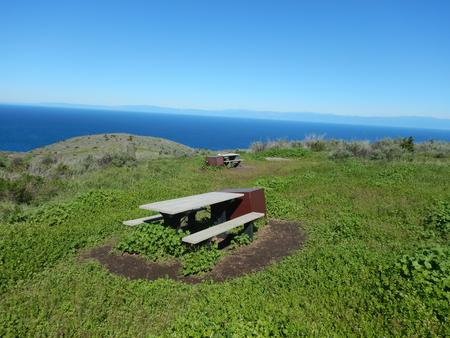 Picnic table and food storage box surrounded by low bushes and grass overlooking ocean.  BACKCOUNTRY AREA - 002
