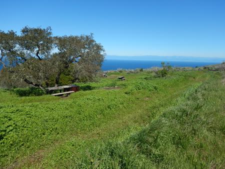 Picnic table and food storage box surrounded by low bushes and grass overlooking ocean.   Del Norte Backcountry, Santa Cruz Island