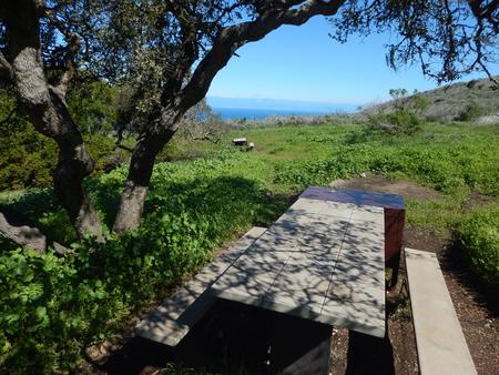 Picnic table next to large tree overlooking ocean. BACKCOUNTRY AREA - 003

