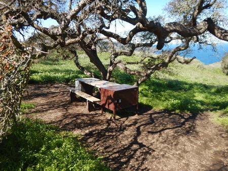 Picnic table next to large tree overlooking ocean. BACKCOUNTRY AREA - 004
