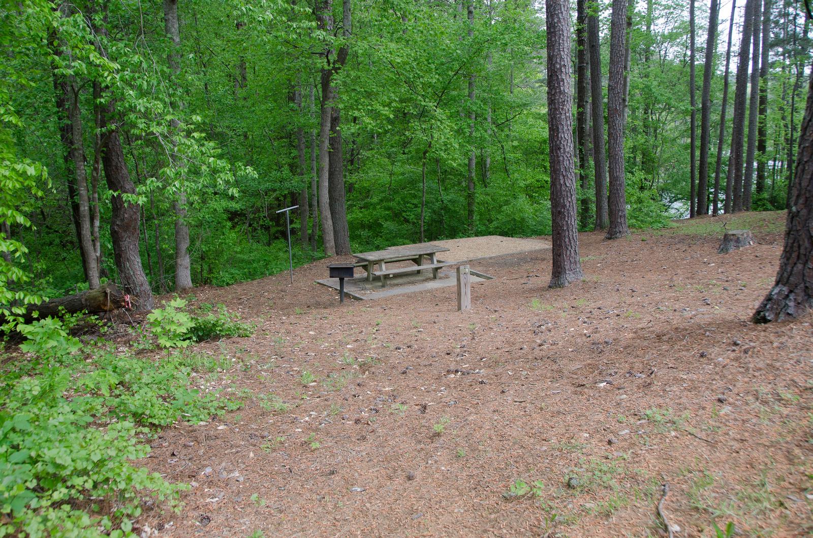 McKaskey Creek CG, table in the treesMcKaskey Creek Campground, campsite 1.