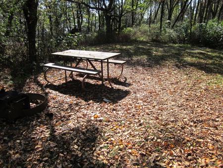 Loft Mountain Campground - Site 40Picnic table and fire pit on campsite