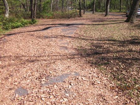 Loft Mountain Campground - Site A67Site driveway