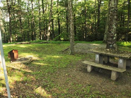 B Loop Site 30 - Tent Only Nonelectric