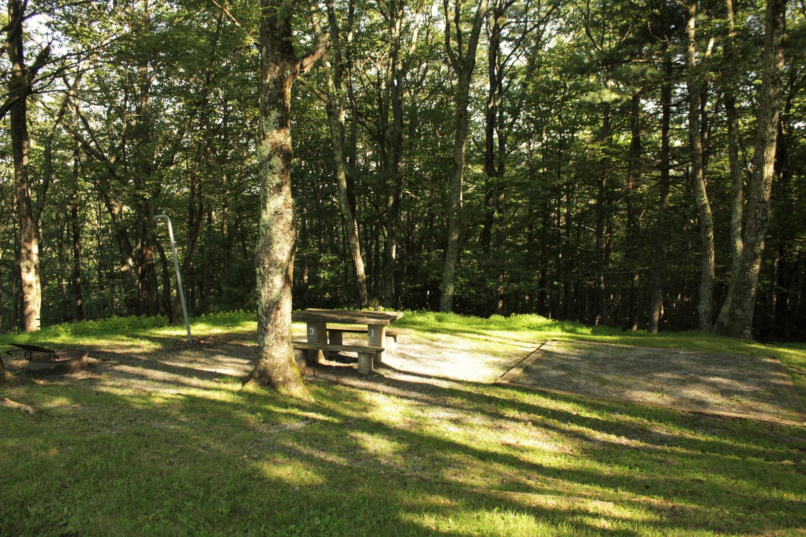 B31 Tent Site Photo