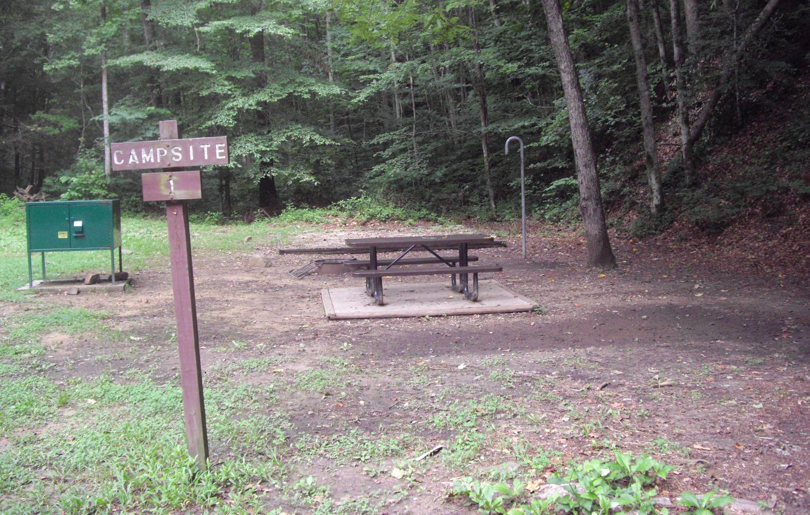 Picnic table sits on concrete pad near a green food storage locker. Campsite number one at the entrance of campground
