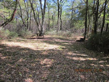 Loft Mountain Campground Site C101Picnic table and fire pit on campsite