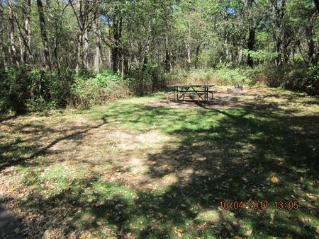Loft Mountain Campground Site C106Picnic table and fire pit on campsite