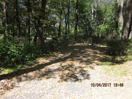 Loft Mountain Campground - Site D108Site driveway