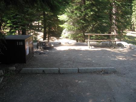 site 116, no generator loop, no tent site, partial shade