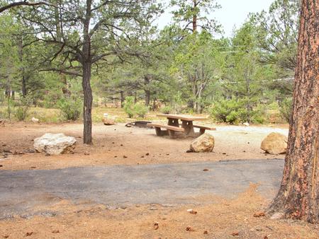 Picnic table, fire pit, and parking spot, Mather CampgroundThe picnic table, fire pit, and parking spot for Aspen Loop 29, Mather Campground