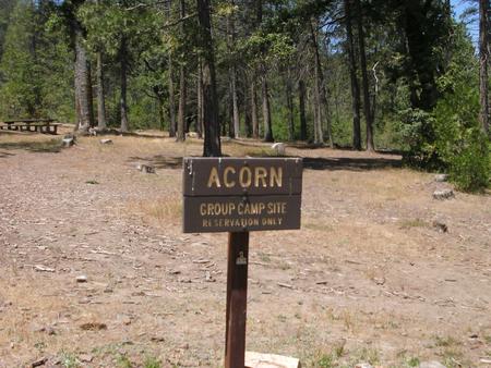 Acorn Group Camp