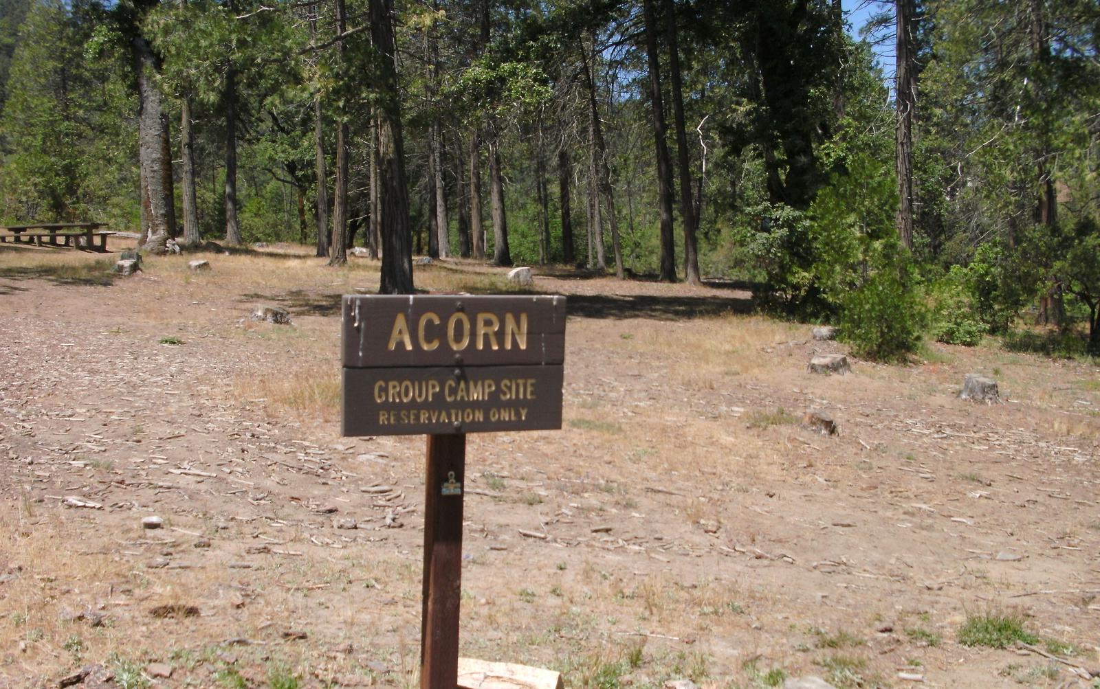 Acorn Group Camp