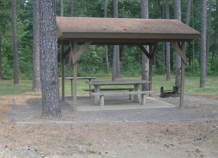 Carter Cove Site #1 Table Area
