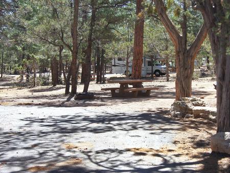 Picnic table, fire pit, and parking spot, Mather CampgroundThe picnic table, fire pit, and parking spot for Aspen Loop 51, Mather Campground