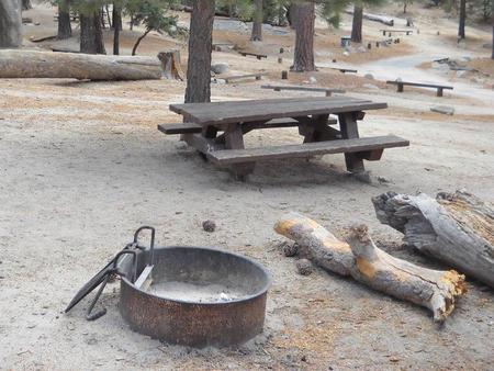 Boulder Basin campsite 22 with picnic table and fire pit.