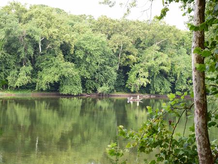 Potomac River near Antietam Creek