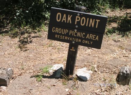 Oak Point Group Picnic