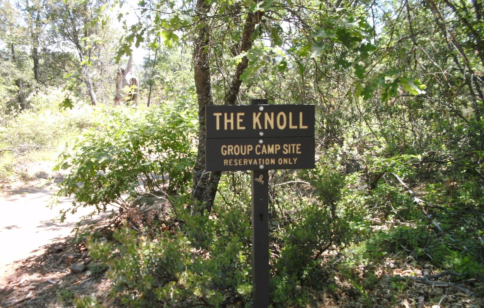 The Knoll Group Camp