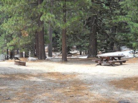 Boulder Basin campsite 26 with picnic table and fire pit.