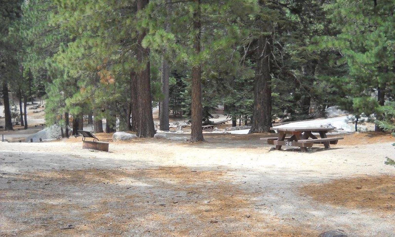 Boulder Basin campsite 26 with picnic table and fire pit.