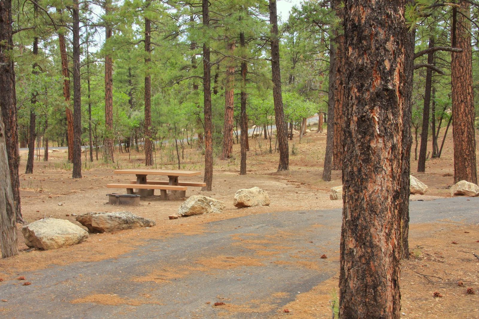 Picnic table, fire pit, and parking spot, Mather CampgroundPicnic table, fire pit, and parking spot for Fir Loop 63, Mather Campground