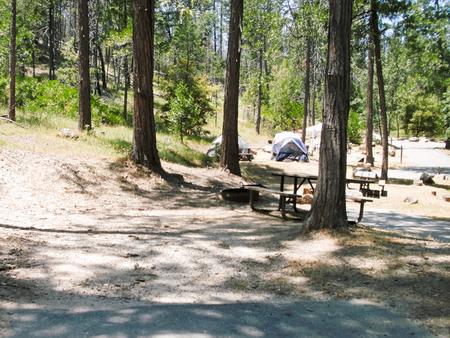Spring Cove CampgroundSite 19