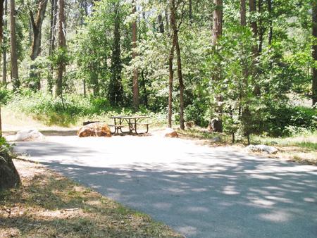 A photo of Site 059 of Loop SPRING COVE at SPRING COVE with Picnic Table, Fire Pit, Shade, Food Storage