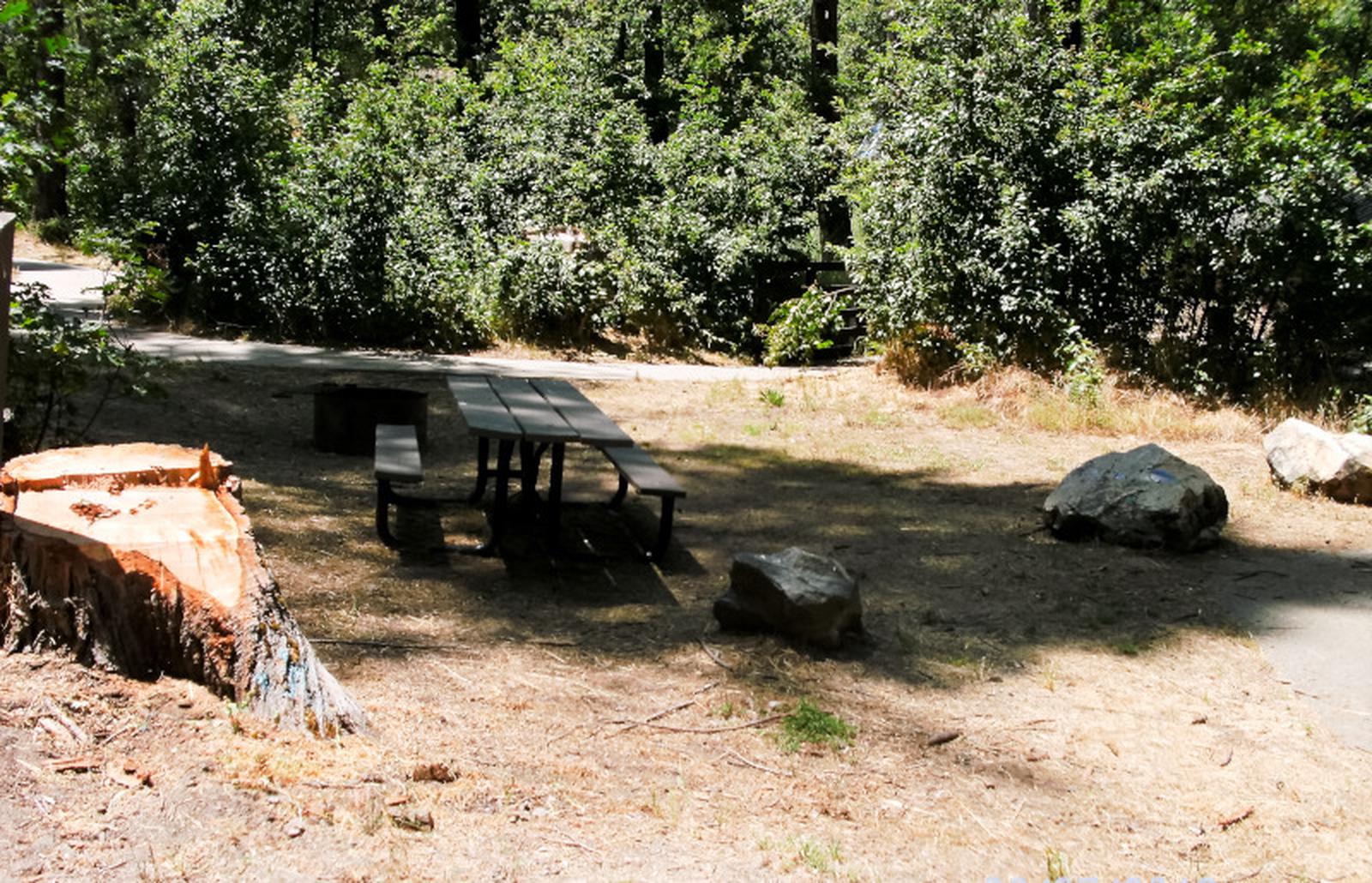 Spring Cove CampgroundSite 61