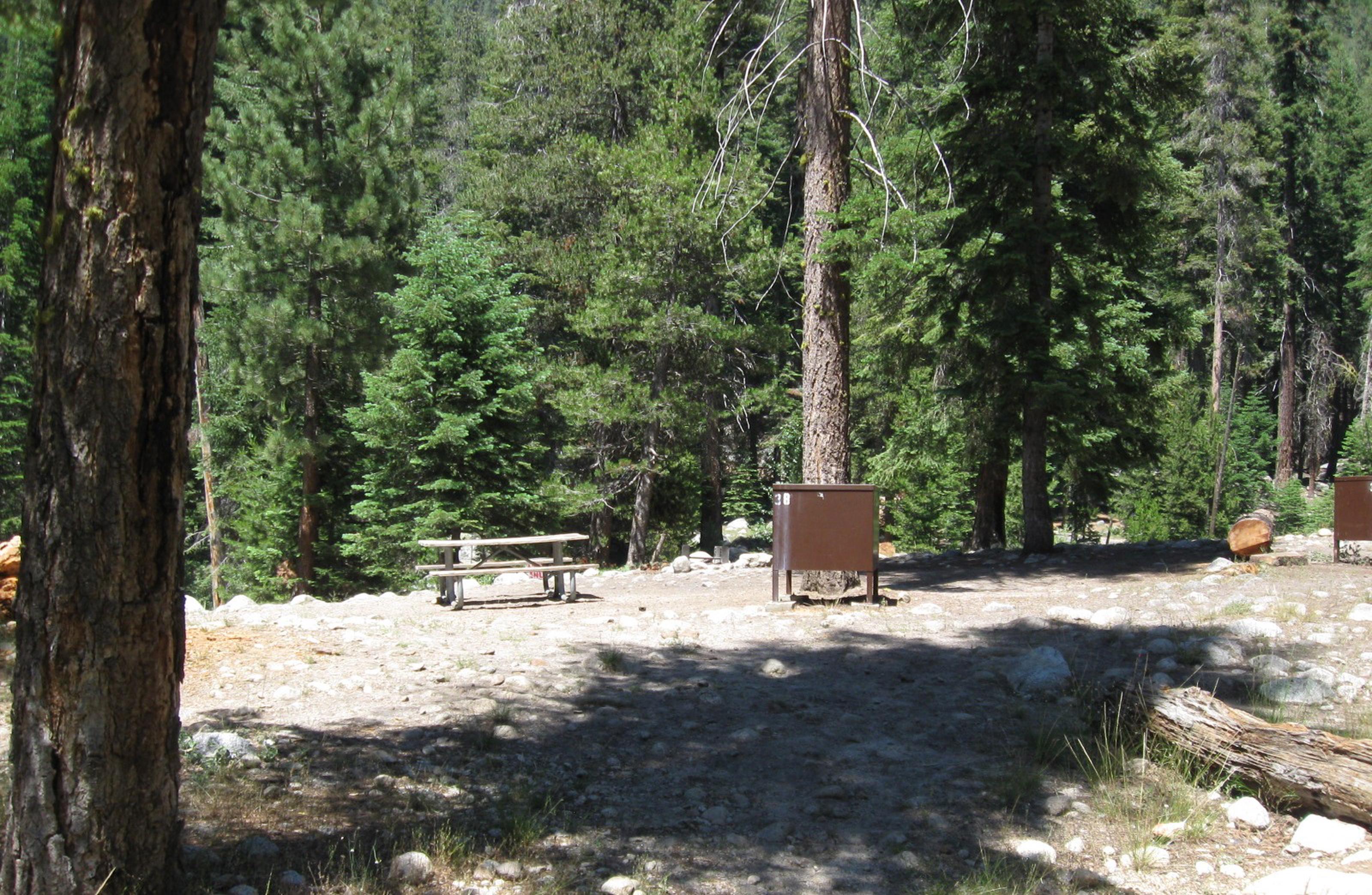 Site 038, Lodgepole Campground-Sequoia and Kings Canyon National Park ...