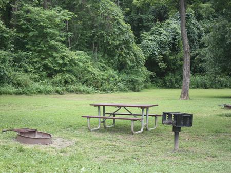 Campsite with picnic table, grill and fire ring
