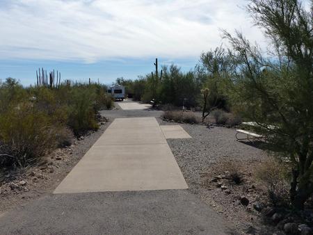 Pull-thru campsite with picnic table and grill, cactus and desert vegetation surround site.  Site 019
