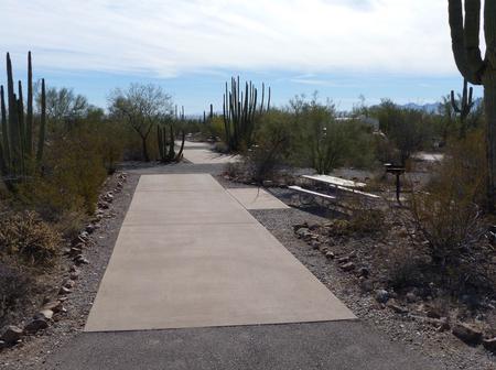 Pull-thru campsite with picnic table and grill, cactus and desert vegetation surround site.  Site 020