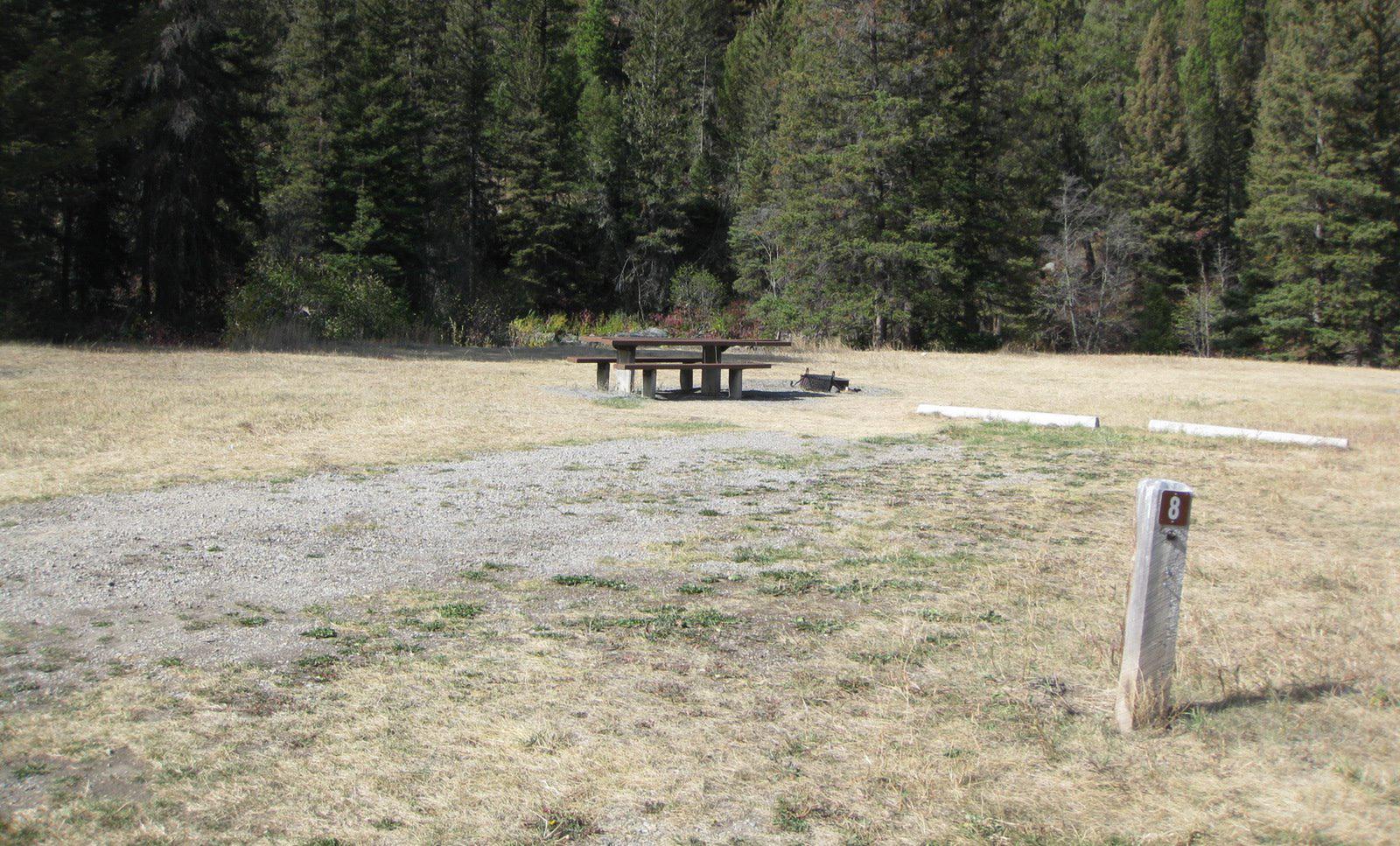 Site 8 campsite - pine trees along river, picnic table & fire ringSite 8