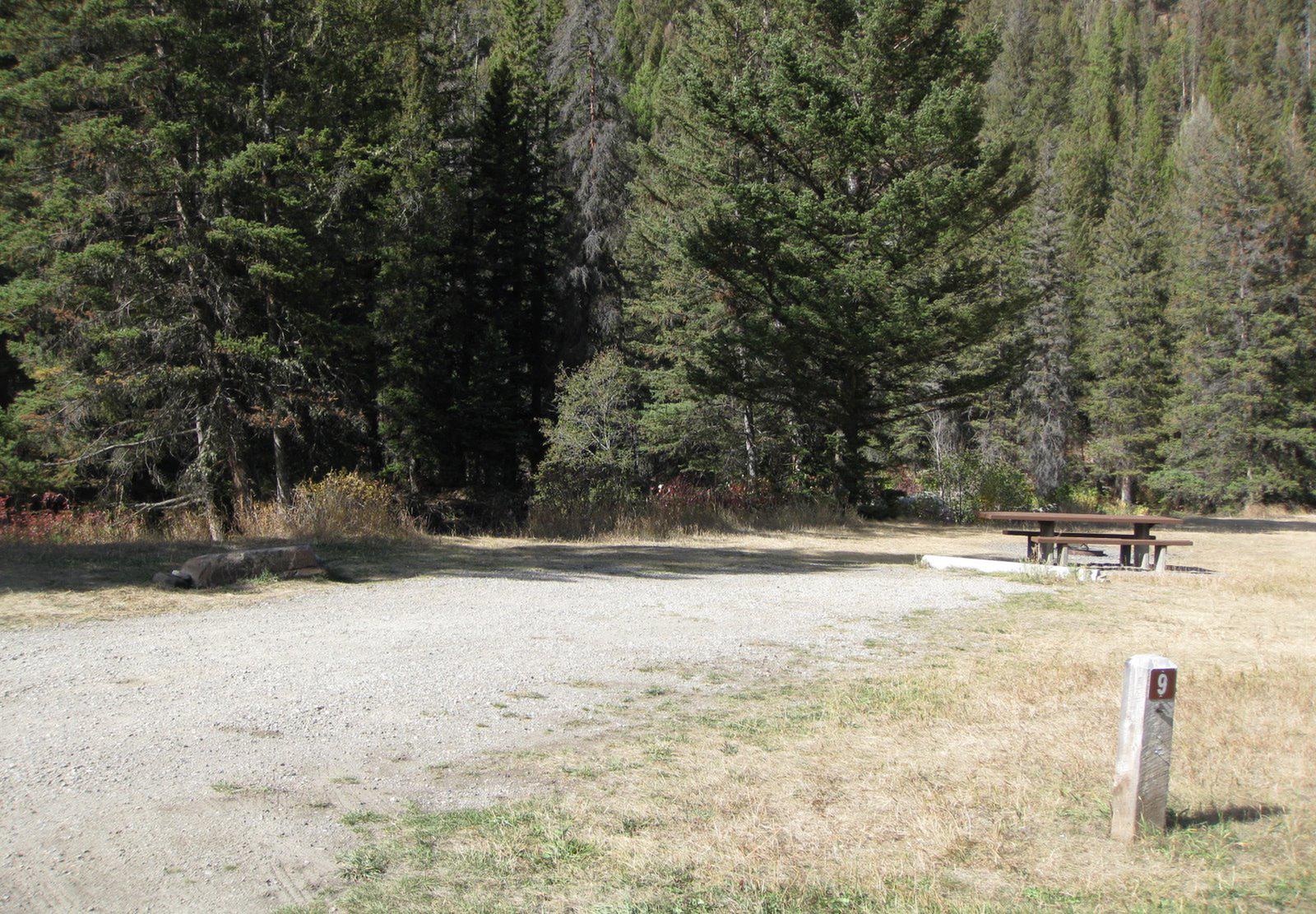 Site 9 campsite - pine trees along river, picnic table & fire ringSite 9