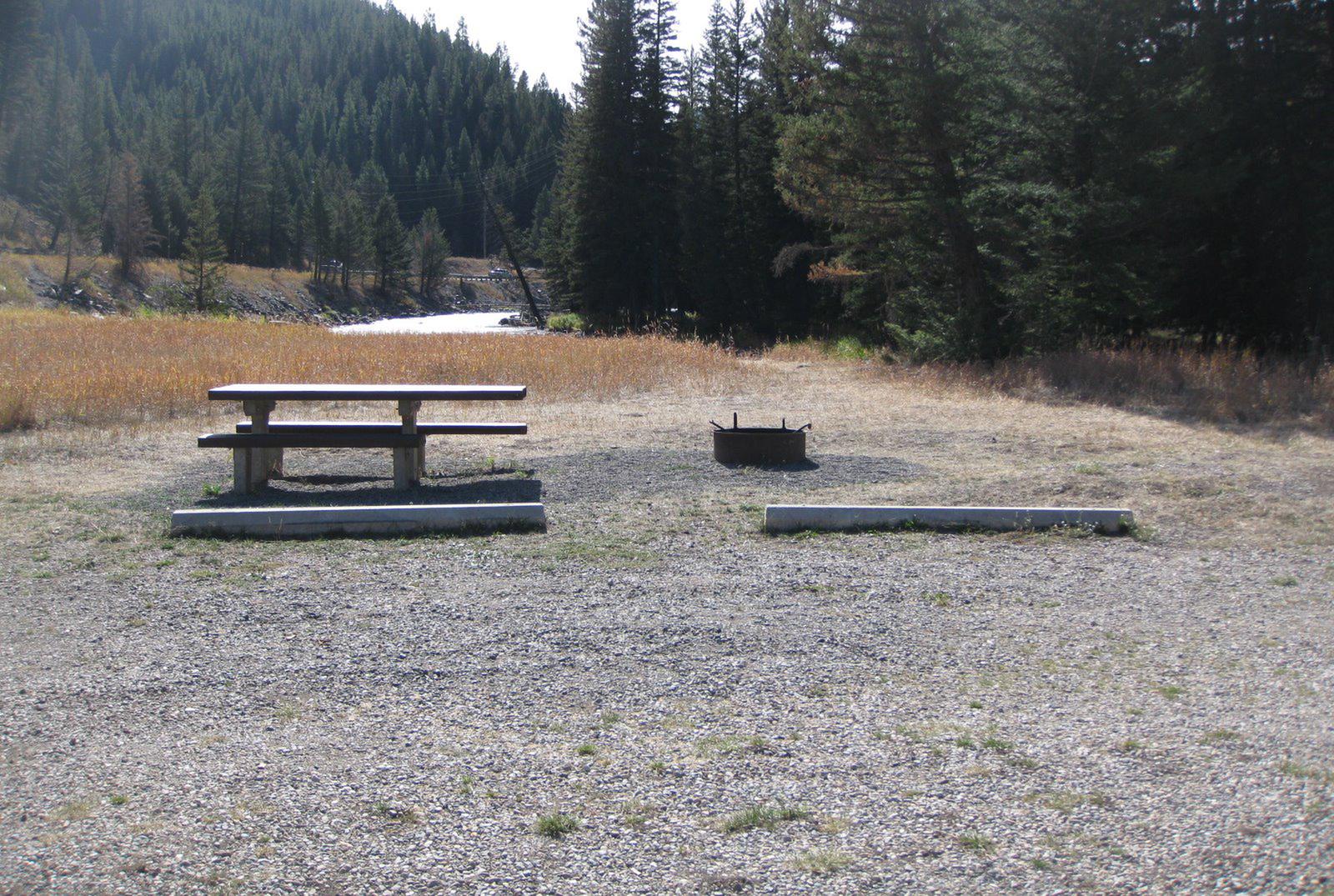 Site 10 campsite - pine trees along river, picnic table & fire ringSite 10