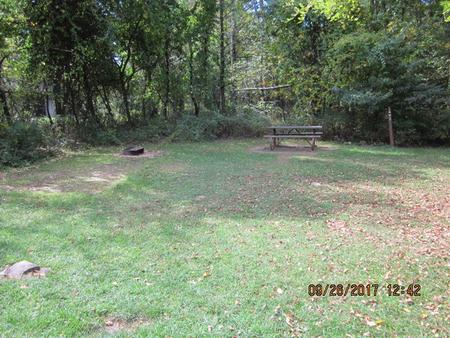 Loft Mountain Campground - Site E135Site E135 with fire pit and picnic table visible