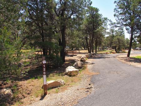 Picnic table, fire pit, and parking spot, Mather CampgroundPicnic table, fire pit, and parking spot for Juniper Loop 120, Mather Campground