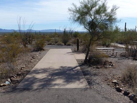 Pull-thru campsite with picnic table and grill, cactus and desert vegetation surround site.  Site 023