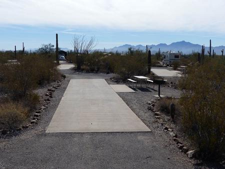Pull-thru campsite with picnic table and grill, cactus and desert vegetation surround site.  Site 024